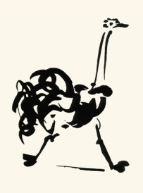 Strauß (Ostrich) Pablo Picasso